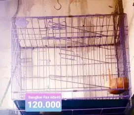 Sangkar Buat Kucing iguana anjing  Pemakaian Sebentar