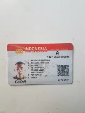 Siap mengerjakan perintah tuan,