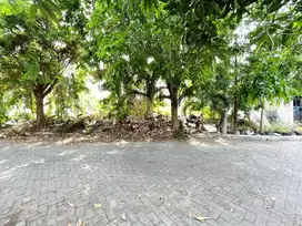 Tnh (12x20) SHM di Bumi Marina Mas Keputih