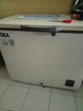 Freezer merk GEA