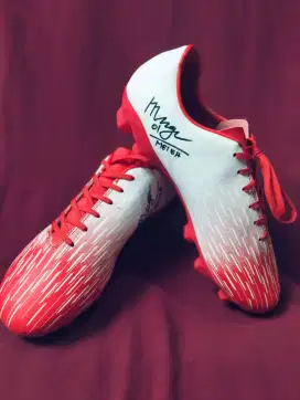 Kolektor item ex timnas