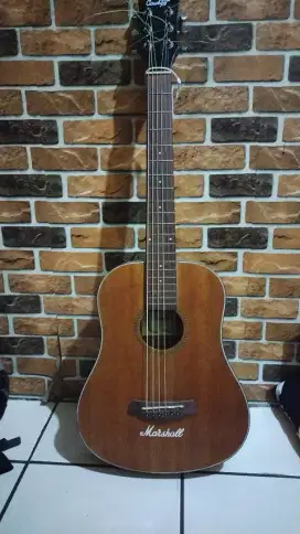 Gitar COWBOY GW 120 NS 3/4 ORY