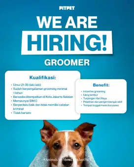 Loker Groomer Hewan ( Jakarta )