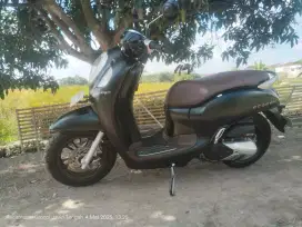 Scoopy 2024 type prestige AD BYL km low