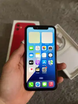 iPhone 11 biasa