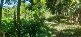 Dijual Tanah Beller jalan MT Haryoni Balikpapan