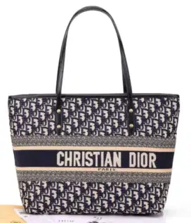 Tas Branded Christian Dior
