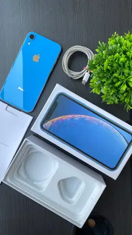 IPHONE XR INTER LL/A BLUE MULUS