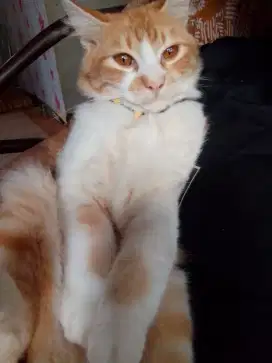 Mencari pekerjaan
