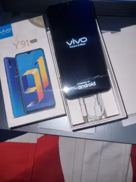 vivo Y91 starry black