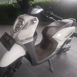 Motor genio 2022