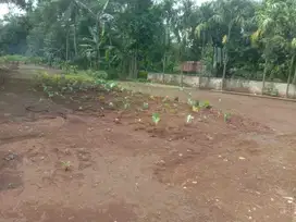 1 Menit Kantor Desa Gobang  Tanah Kavling Murah Legalitas SHM