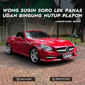 MERCEDES BENZ SLK250 AMG