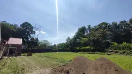 Rumah Kota Malang Dekat Kampus & GOR