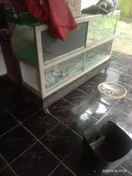 etalasa hp bekas