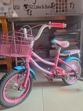 Sepeda anak rainbow michelle