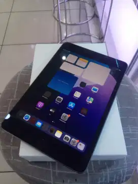 iPad Mini 5 Gray Cellular Wifi 64GB iBox