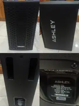 Spker ashley 10 inci + mixer