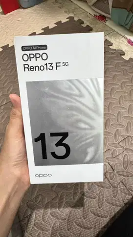 Oppo Reno 13F 5G