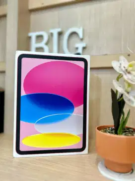 Ipad 11 256gb pink