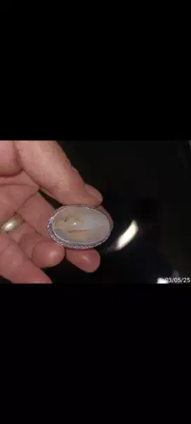 Batu anggur gambar ikan koi