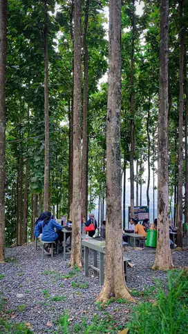 Jual kavling harmoni tanah investasi
