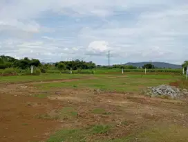 20 Menit Kampus IPB Dramaga Tanah Kavling Murah Di Bawah 100 Jt-an