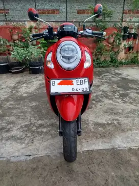 Honda Scoopy 2024