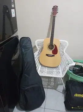 Gitar anderson + Amplifier