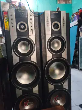 Speaker polytron