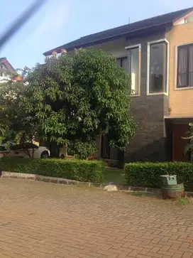 Rumah Sewa Area Bintaro Sektor 9 Siap Huni Fully Furnished