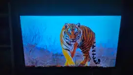 Polytron digital LED tv with Soundbar