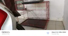 2 Kandang kucing