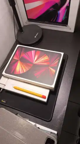 iPad pro M1 2021 second ex garansi indo ( eraphone )