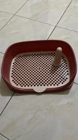 Alas kencing anjing