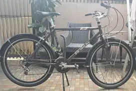 Federal Bob Cat MG20