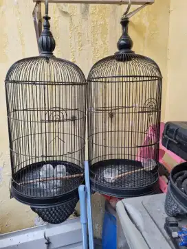 Kandang kosong sayang gak kepake