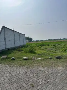 Dijual Tanah murah