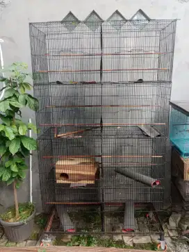 Kandang burung sangkar burung galvanis