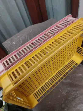 Rak makanan atau apapun bisa