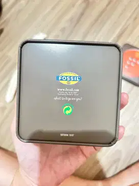 Fossil tali putih