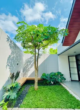 Rumah Premium daerah kampus dan perhutani dengan perabot