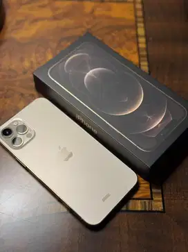 Iphone 12 pro 256 gold full set ex ibox