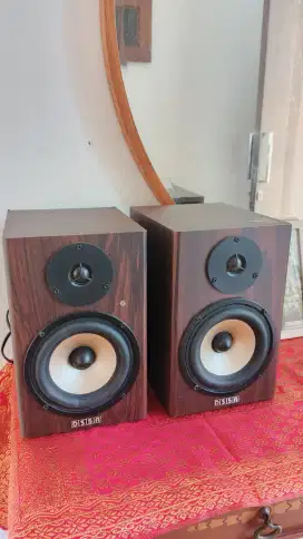 Speaker Flat DS Acoustic DS5A