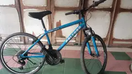 Sepeda MTB Polygon uk24 shock mantul rem pakem