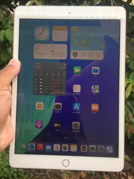 iPad 7th 2019 Rose Gold Wifi + Cellular 32GB