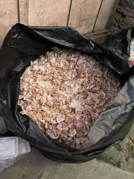 Kulit bawang putih segar