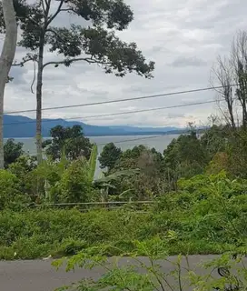 TANAH MURAH DI PINGGIR JALAN UTAMA ANTAR PROVINSI SUM SEL DAN LAMPUNG
