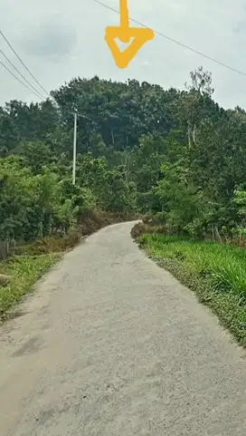 TANAH MURAH DPN JLN UTAMA DAN VIEW PANTAI DAN ADA POHON JATI