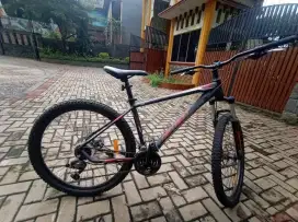 Mtb Detroit 1.1